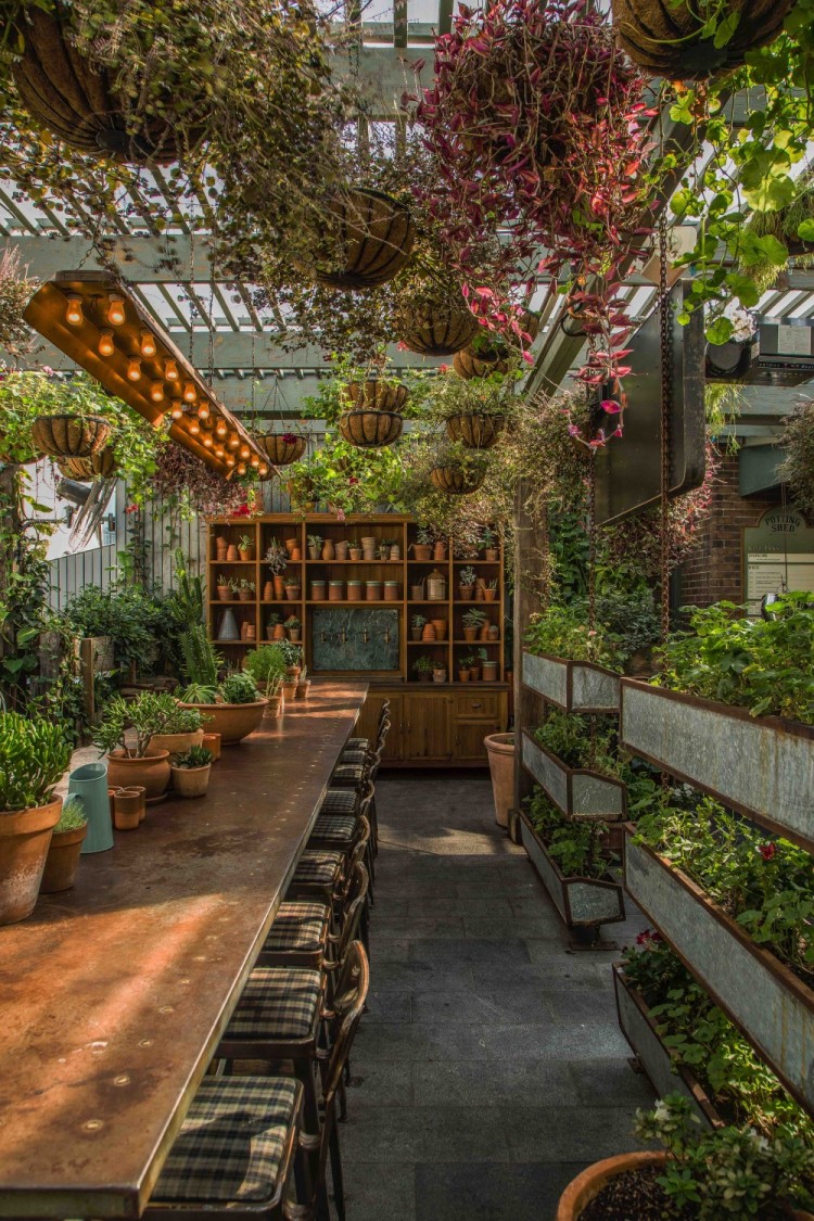 The Potting Shed is a place to meet, eat, drink, relax and chat your day and night away.