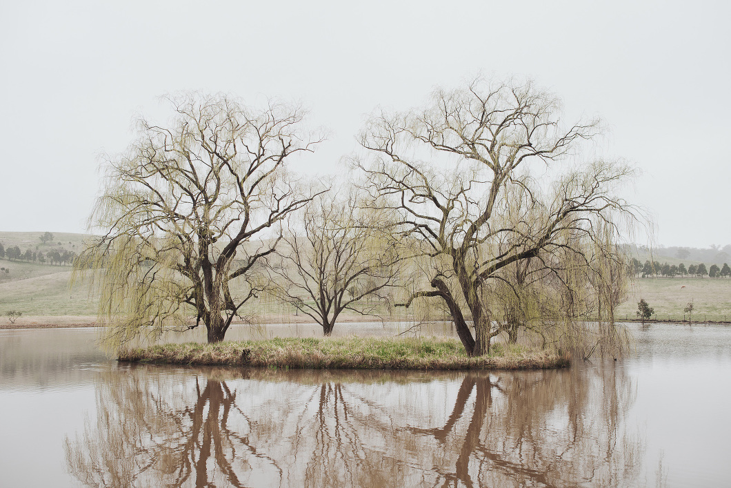 Our 200-acre property, with expansive gardens and a picturesque lake setting, provides so many beautiful spaces for celebration and photography.