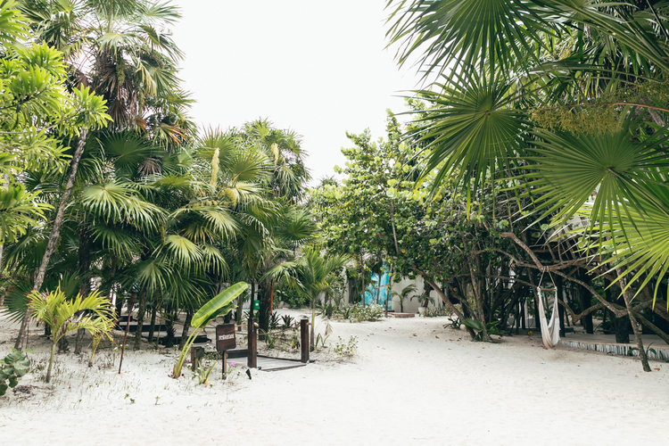Our venue can be the perfect combination between the modern and magical scene of the beach and the jungle.