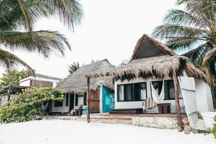 Your very own oasis at Casa Violeta.