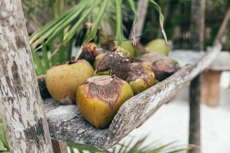 Fruits grown on the property.