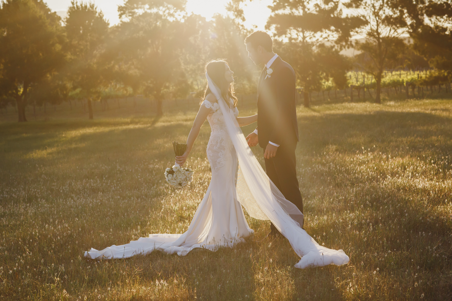 Beautiful Golden Light