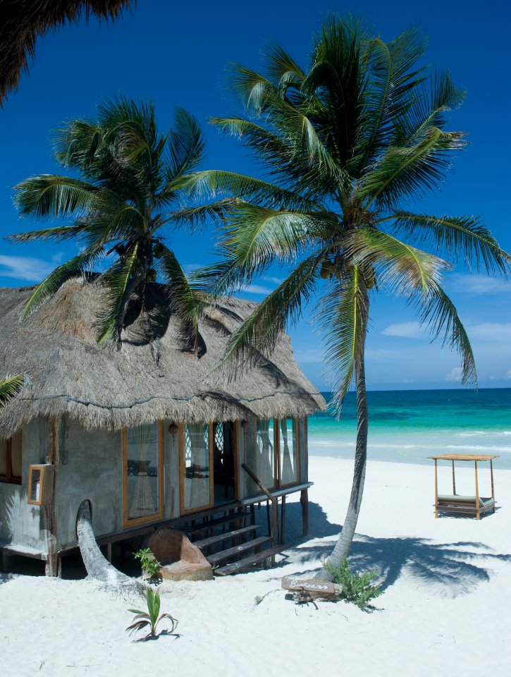 Each of Casa Violeta’s 10 unique designed palapas has its own character.