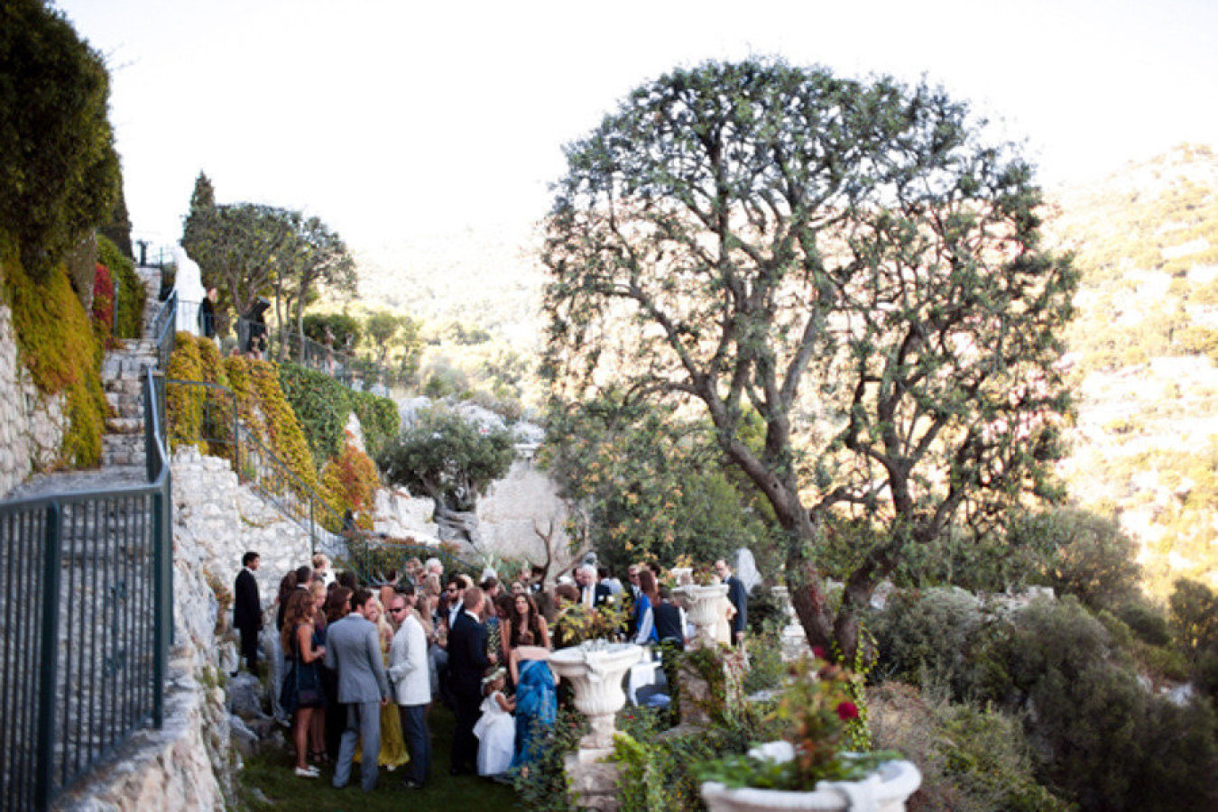 Wedding Planning: Lavender & Rose Weddings