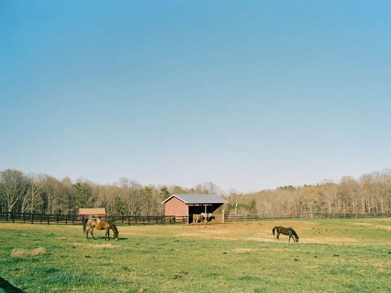 Wolftrap Farm offers a stunning site for outdoor weddings, with accommodations for up to 34 guests in the Manor House and three luxurious cottages.