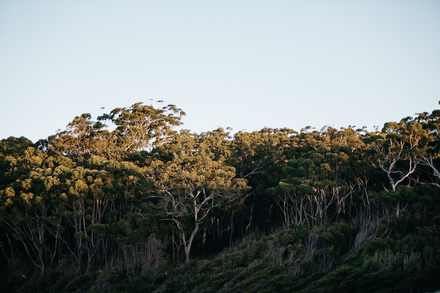 Located amongst soaring gumtrees on the banks of a tranquil waterway and not far from the famous white sand beaches of Jervis Bay.