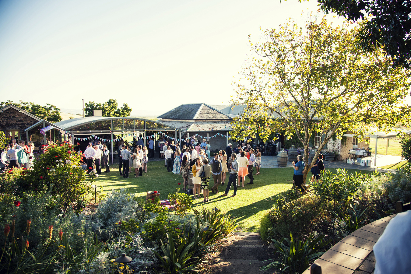 Reception on the lawn.