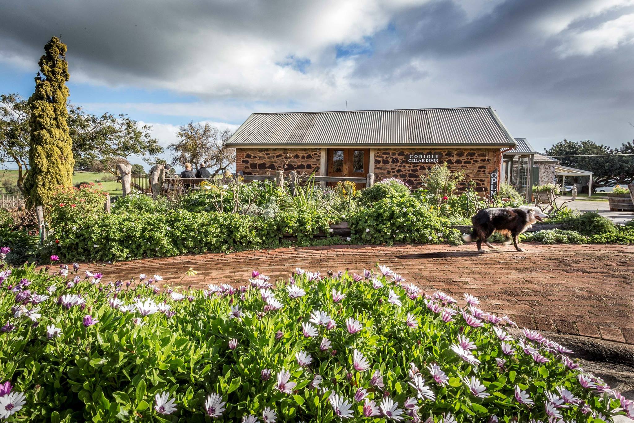 The original farmhouses were built in 1860 and are now the epicentre of the garden and cellar door at the winery.