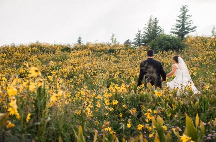 Event Planning & Floral Design: Blue Bird Weddings & Events