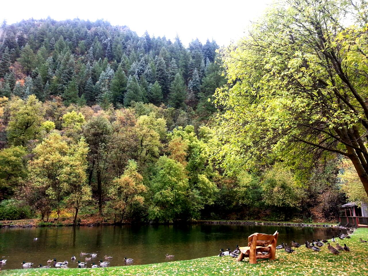 The lakeside garden meadow is exclusive to weddings and the lake was originally a skating pond.