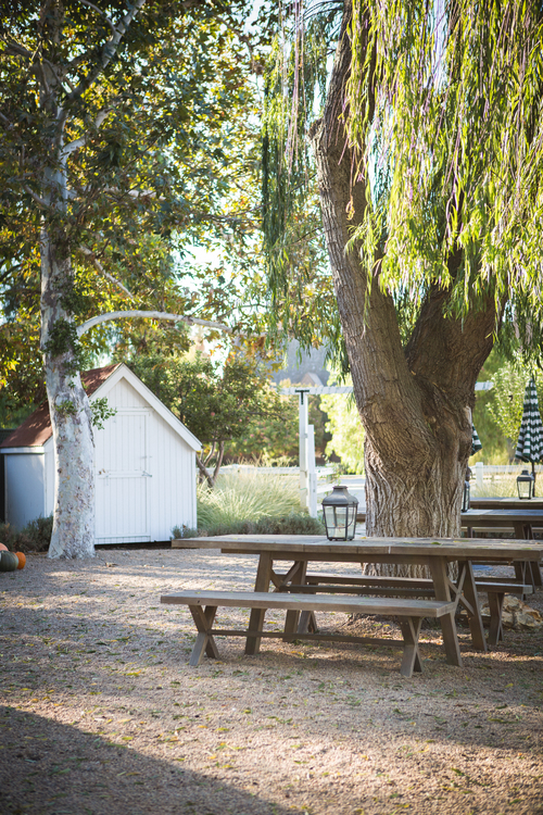 Outdoor Picnic Tables