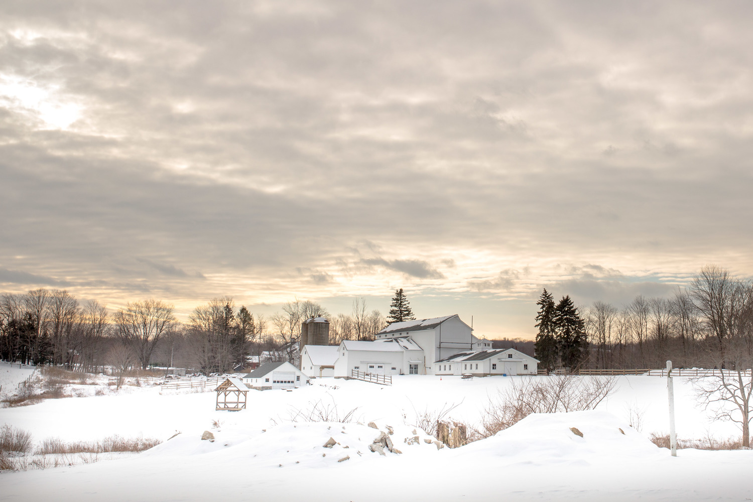 Events can combine both indoor and outdoor space to create an unique and memorable country experience.