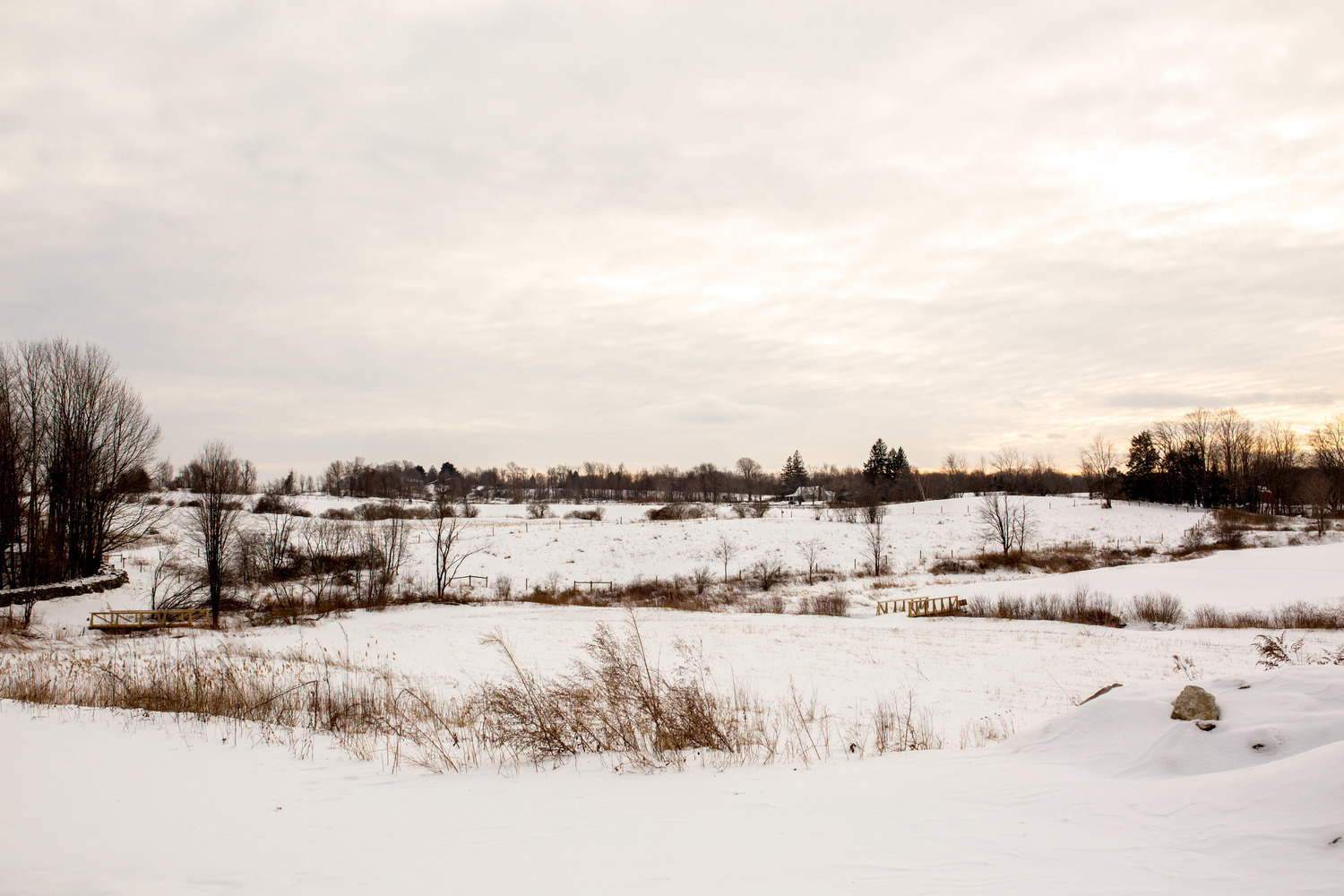 Now a fourth generation farm of the Paletsky Family, this venue has become a historic centerpiece of northwest Connecticut.