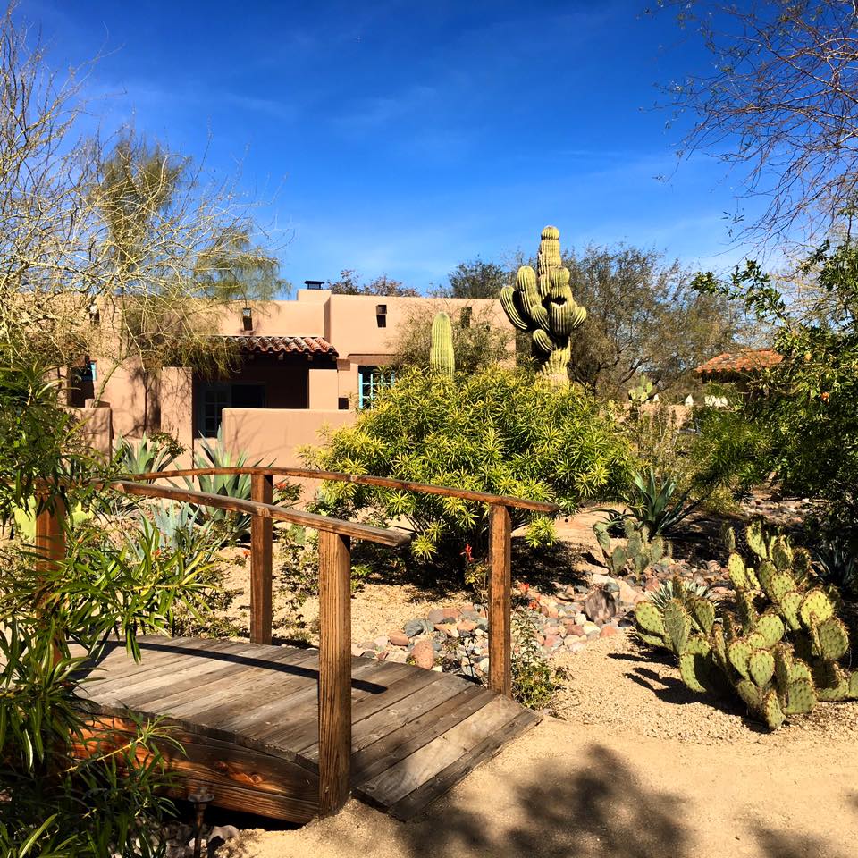 On the front patio, annual flowers, mature trees, and flowering cacti embrace the landscaped ceremony site.