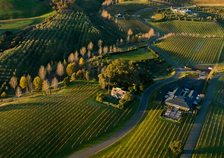 Boutique vineyard just five minutes from the Village of Havelock North in Hawke's Bay Wine Country.