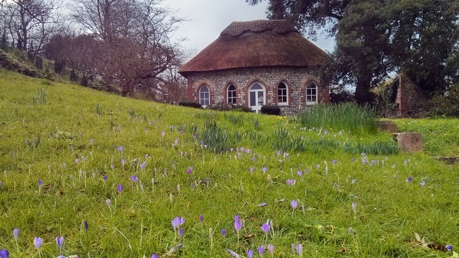 The Firle Estate has remained intact for over 500 years and encompasses several picturesque downland villages with traditional pubs, a highly regarded farm shop and of course Firle Place itself.