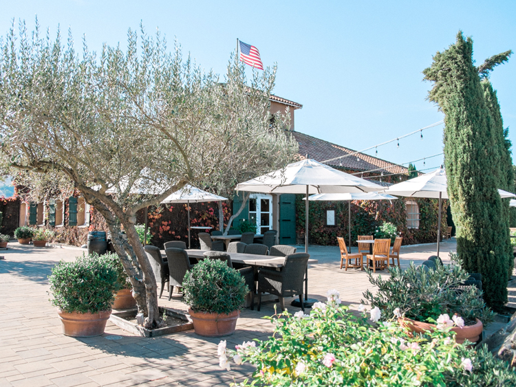 The legacy of Viansa Sonoma dates back to 1896 when Samuele Sebastiani arrived from Tuscany and saved enough money, while making cobblestones for San Francisco streets, to purchase vineyard property in 1904.