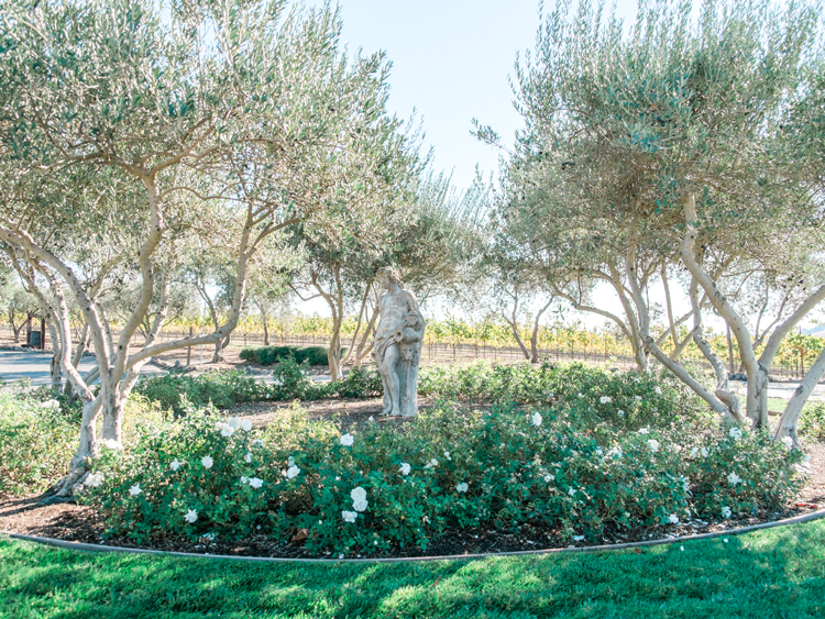 Our property includes 33 acres of our estate vineyards and 97 acres of natural wetlands, which serve as home to variety of indigenous waterfowl.