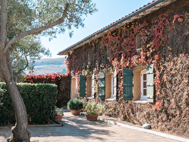 Stunning view, vines and wines at the summit of Sonoma.
