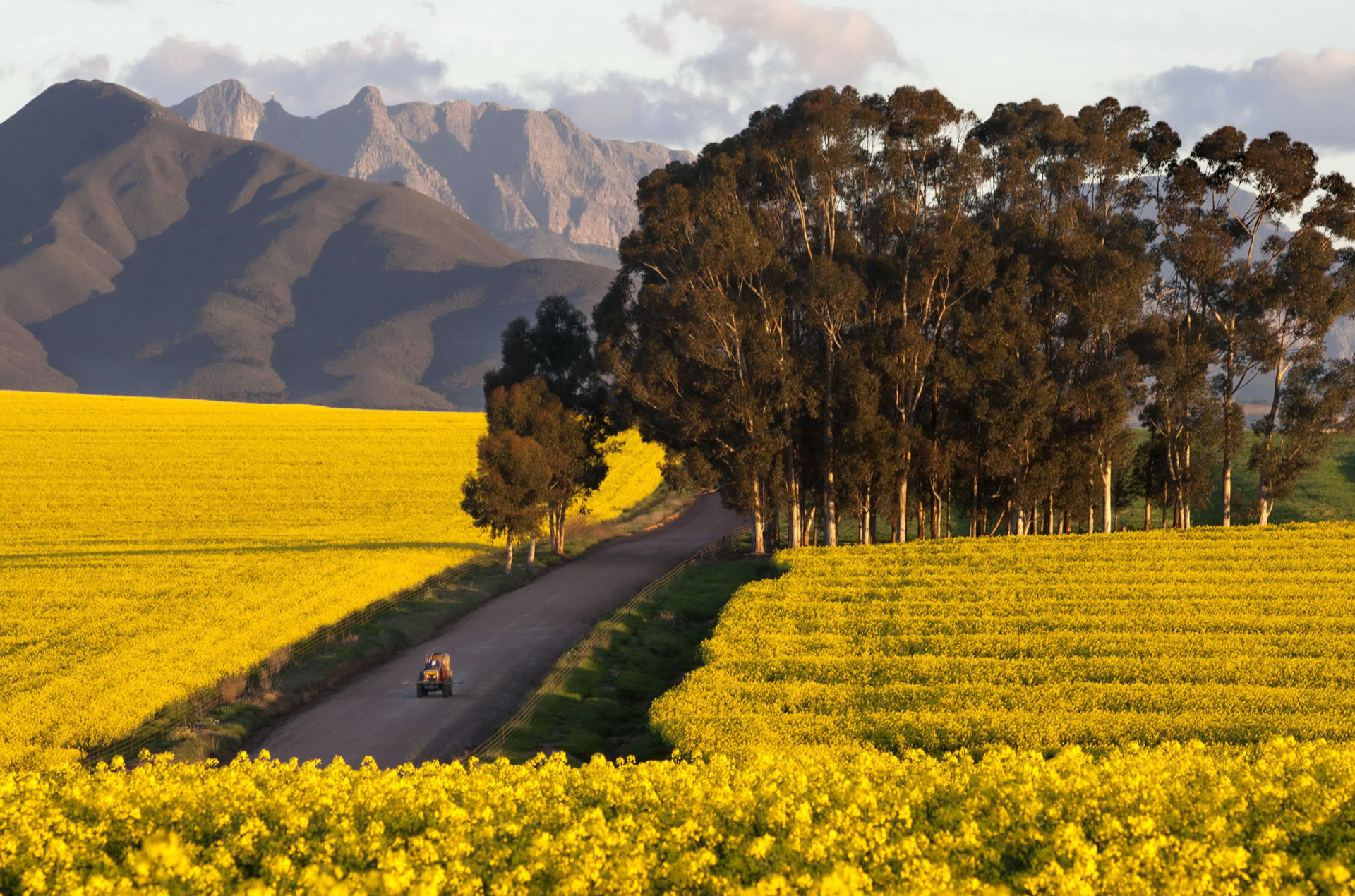 There is a 4000he fynbos nature reserve, with a spectacular backdrop of mountains to be explored on game drive or by mountain bike, and beautiful gardens with a unique swimming pool.