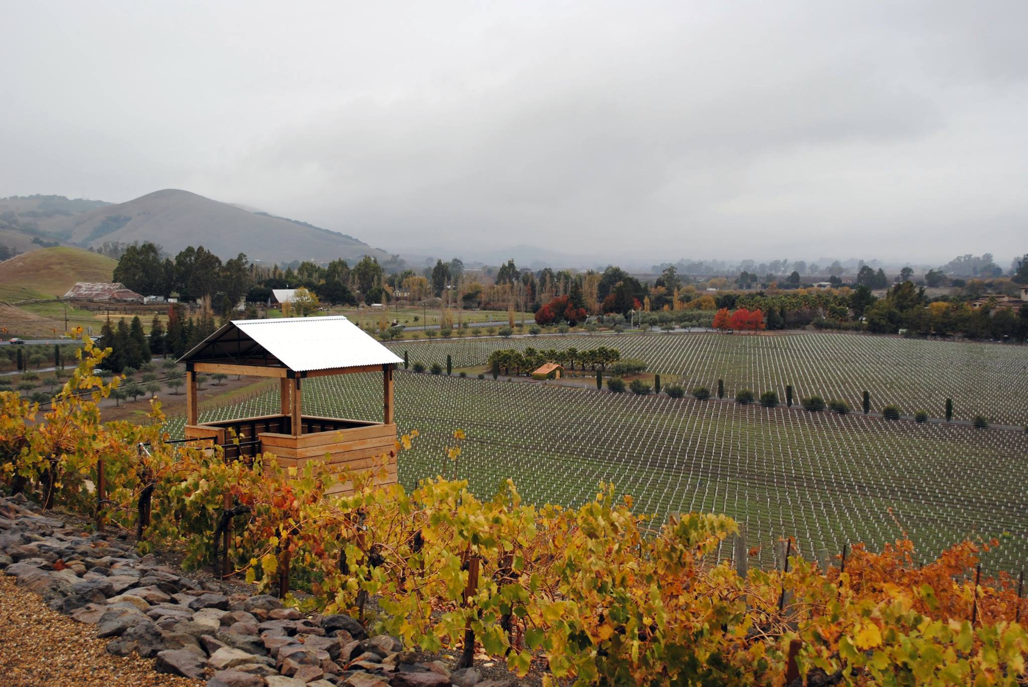 Stay and enjoy a glass of wine and picnic fare from our marketplace on the terrace, while taking in the views.