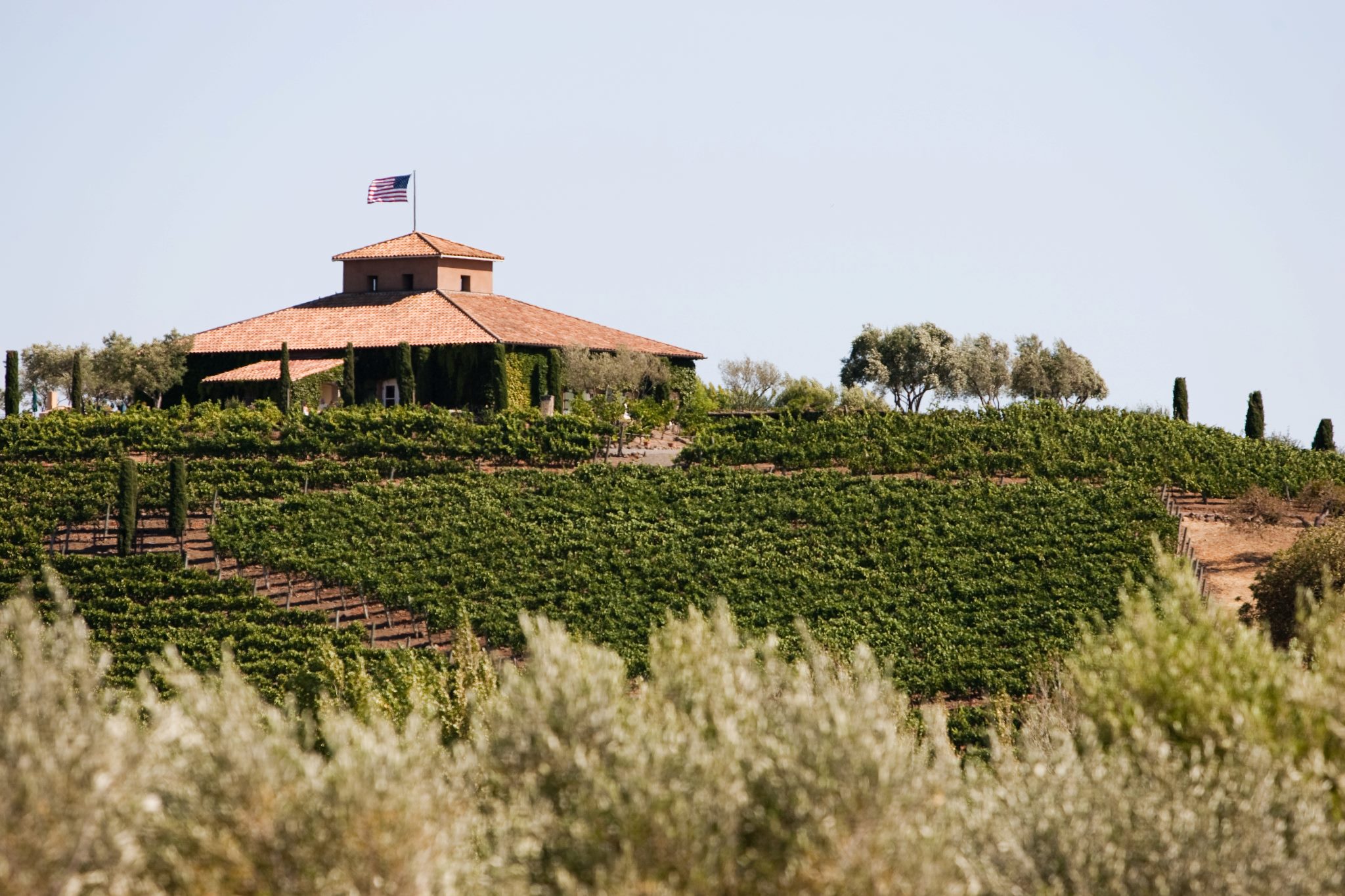 From our hilltop, take in 270° views of Sonoma Valley-San Pablo Bay to the south, Mayacamas Mountains to the East, and “King’s Highway” leading the way to the northernmost California mission of the El Camino Real.