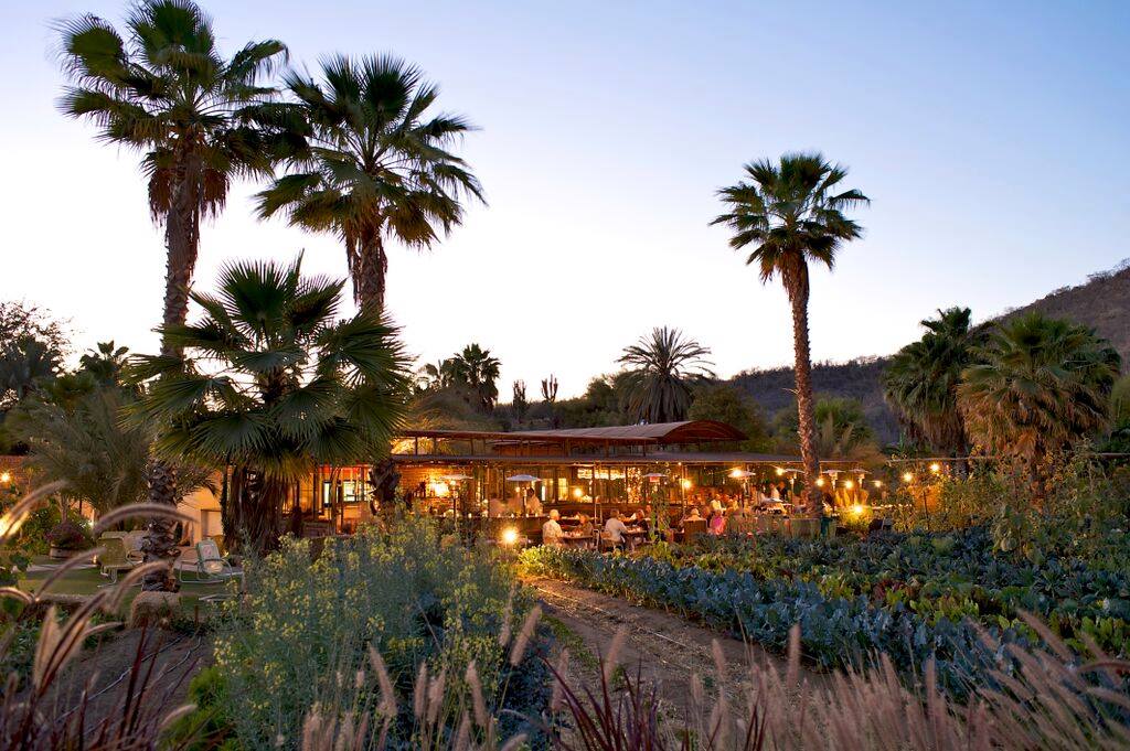 Our goal is to create a healthy family meal with a sense of place.