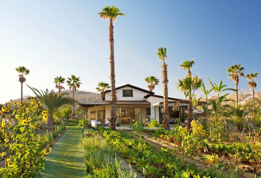 There is an herb garden amphitheater, lakeside lawn, hilltop altar and more.