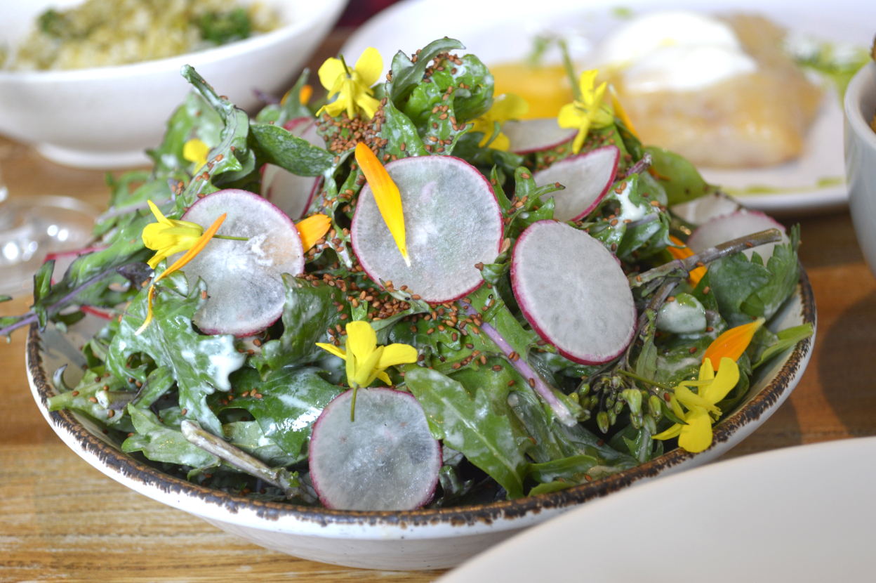 We serve simple lunches with fresh seafood from the waters outside, our own sourdough bread and homemade butter.