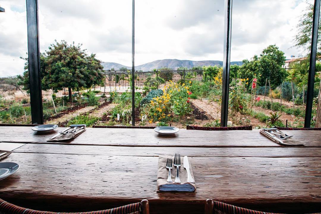 Views of the garden from your dining table.