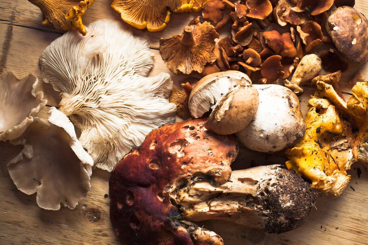 Fresh ingredients are used in the dishes.