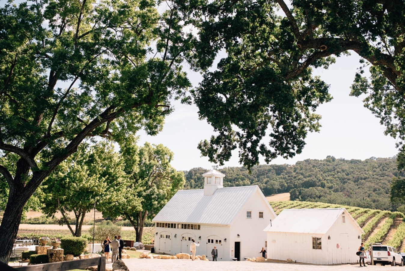 In the heart of westside Paso Robles on Vineyard Drive, HammerSky Vineyards offers it all, from award winning estate Bordeaux wines to hospitality and comfort for all who visit.
