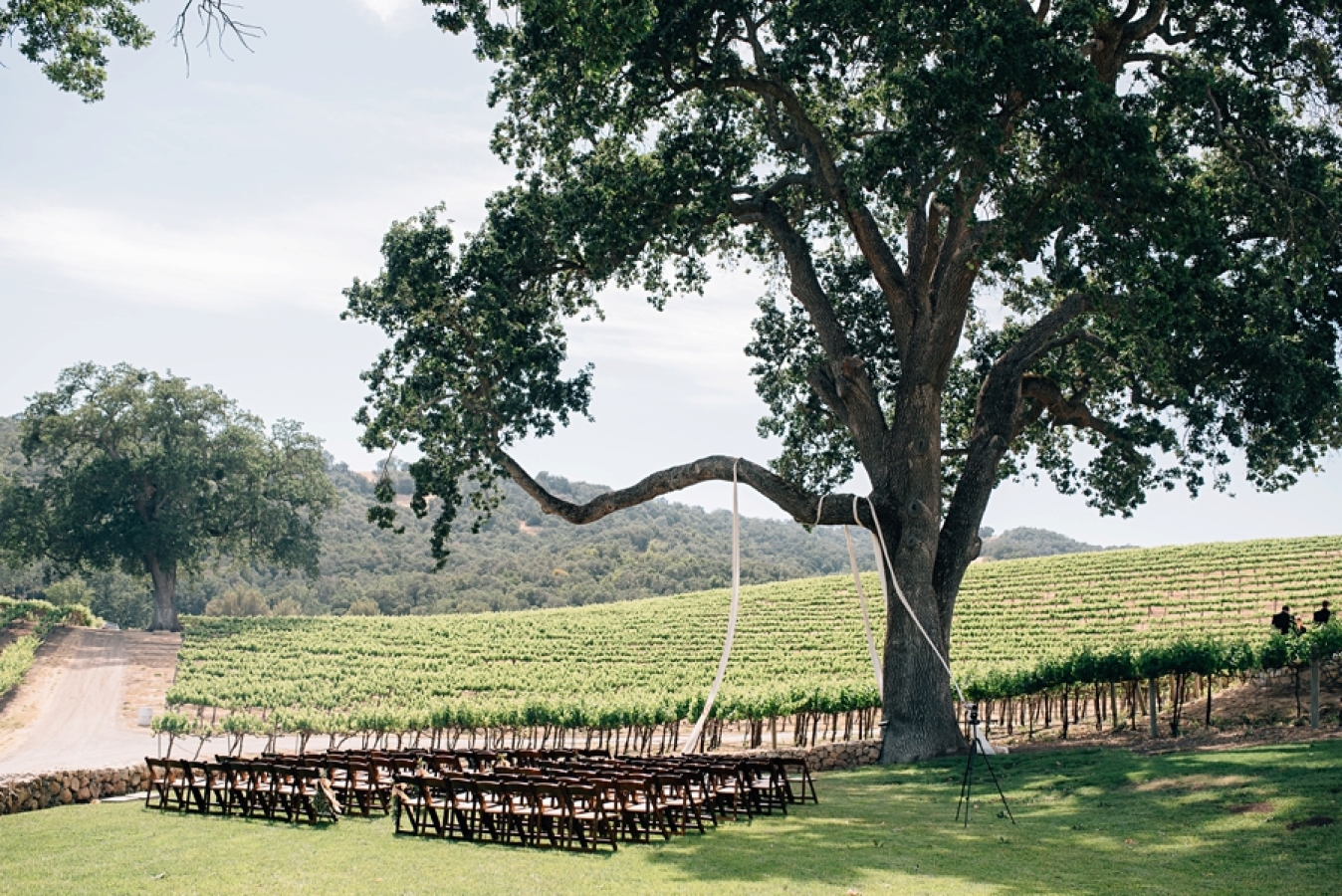 The setting sits amongst ancient Oak Trees and surrounded by vineyards. and grassy lawn areas.