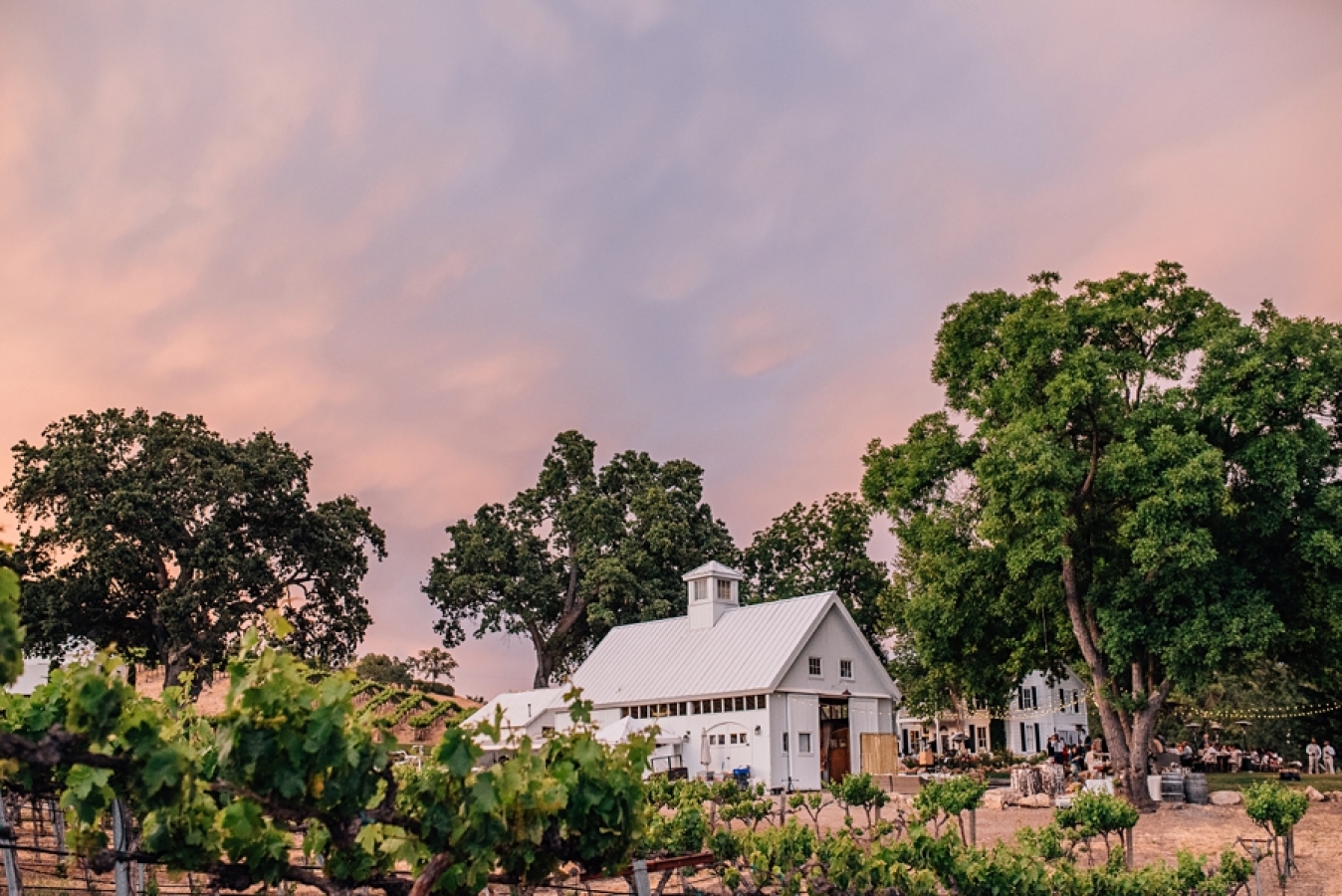 The property consists of vineyards, tasting room, farm house, and New England barn.