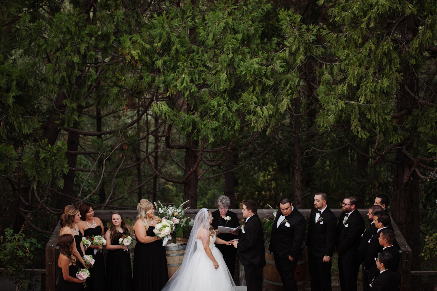 Our garden patio with its forested backdrop is an unforgettable canvas for guest arrival and wine reception or outdoor ceremony.