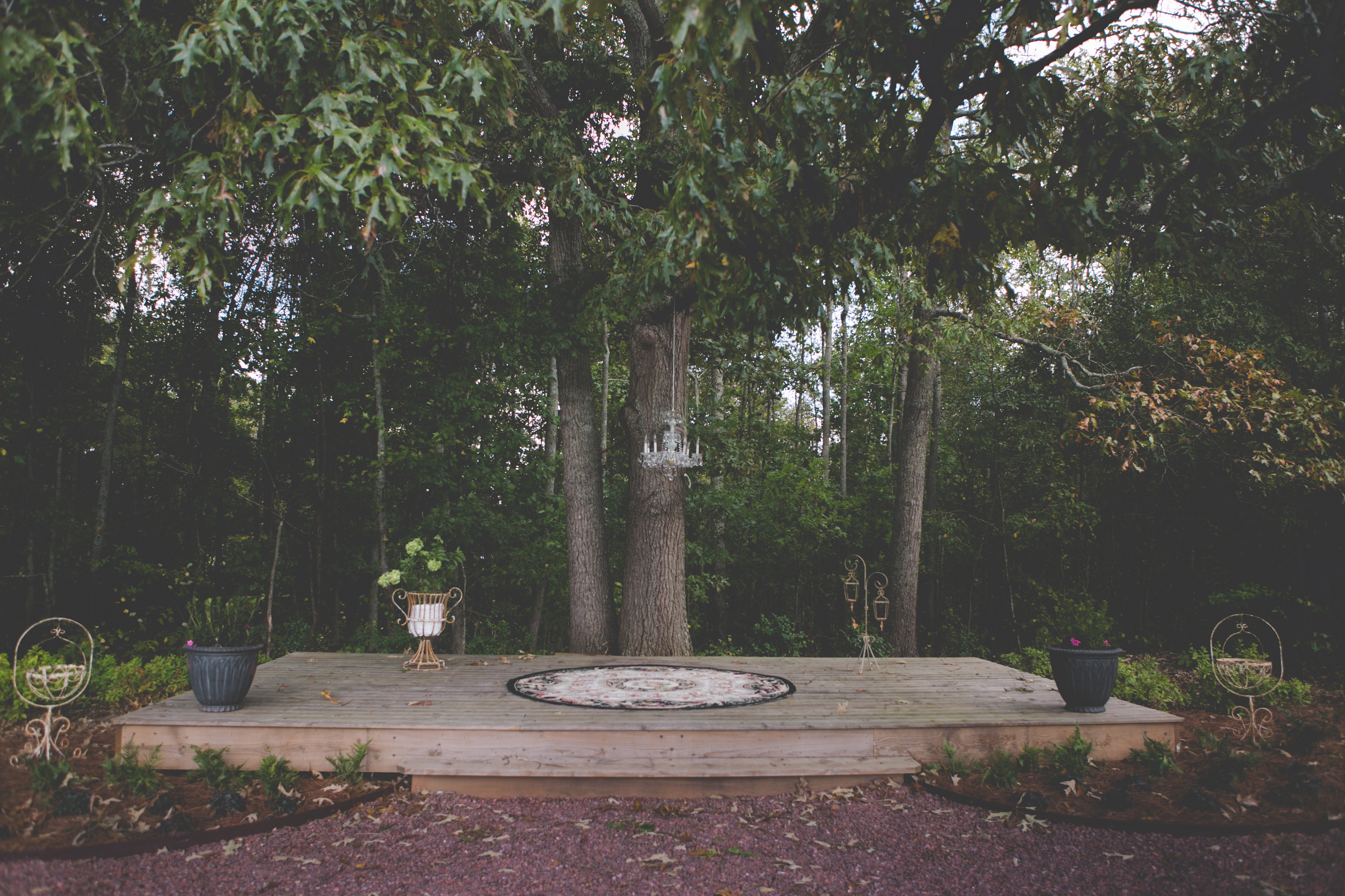 She is strong, she is empowering, and she is full of love. Our beautiful masterpiece, Mother Oak, is the center of our homestead.