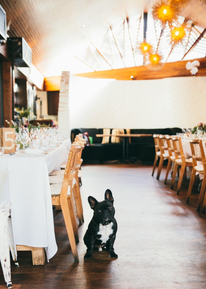 Indoor & Outdoor Venue Spaces Available