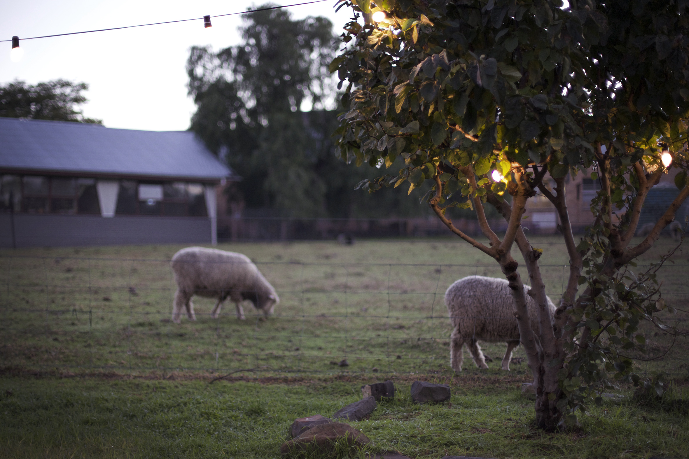 Working Farm