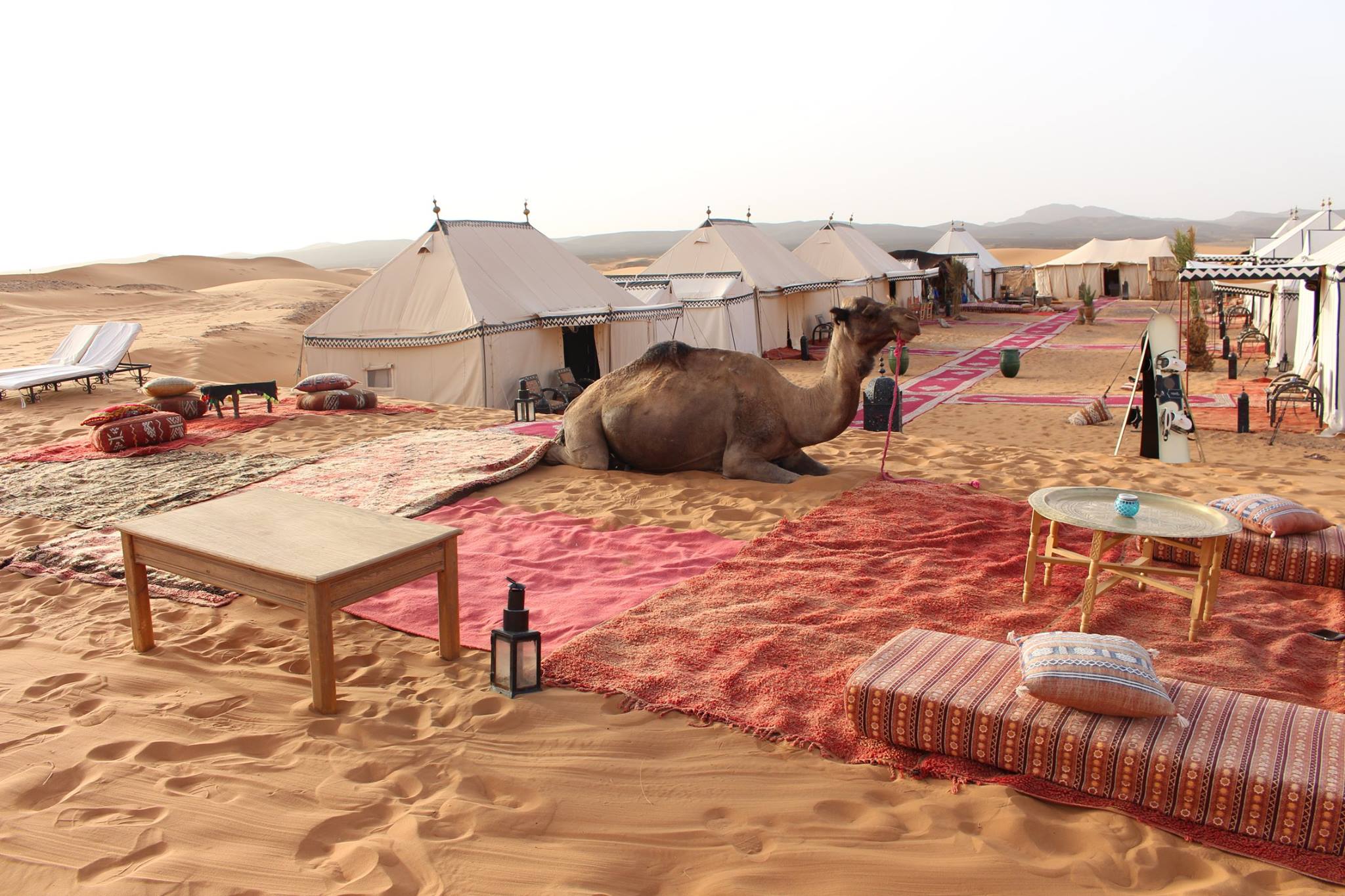 Our Luxury Camp offers the visitor an escape from the crowds of the cities – as well as contact with other tourist camps.