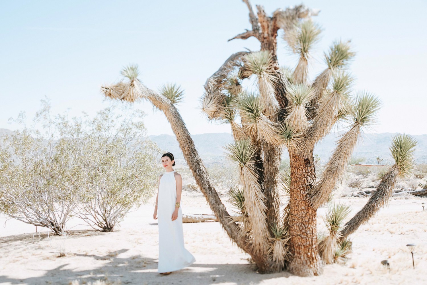 Joshua Tree Bride