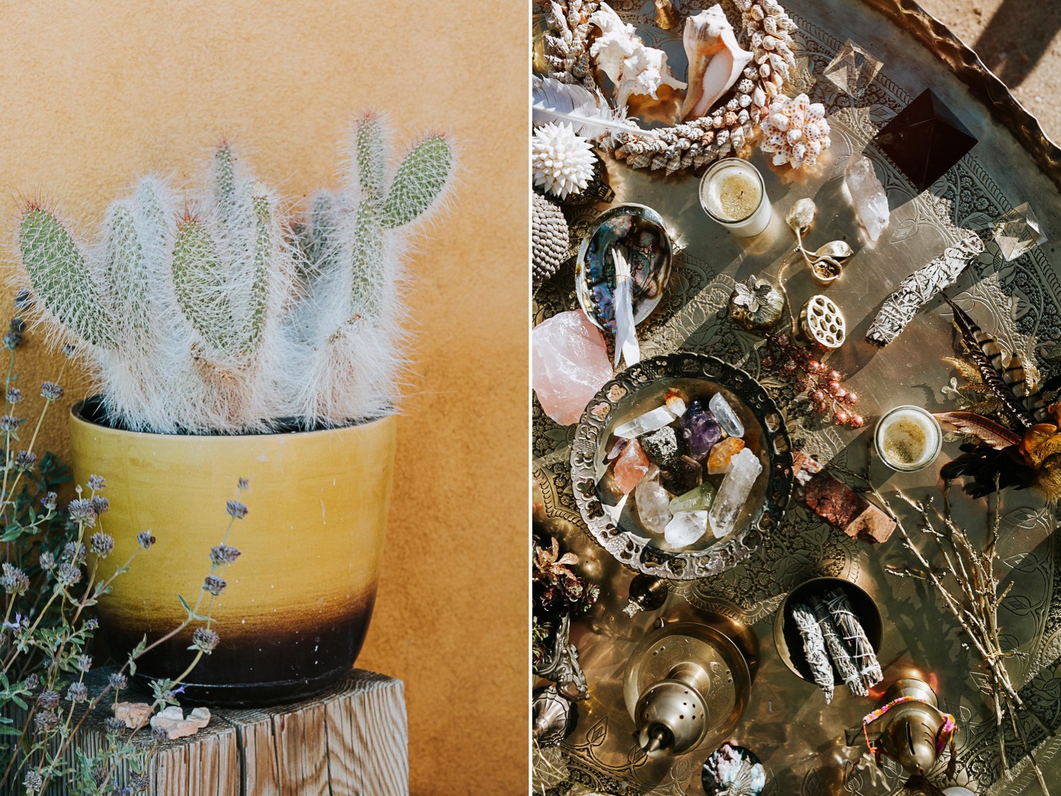 Retreat to the desert... Be our guest... Relax your mind, refresh your body, align with your soul.
