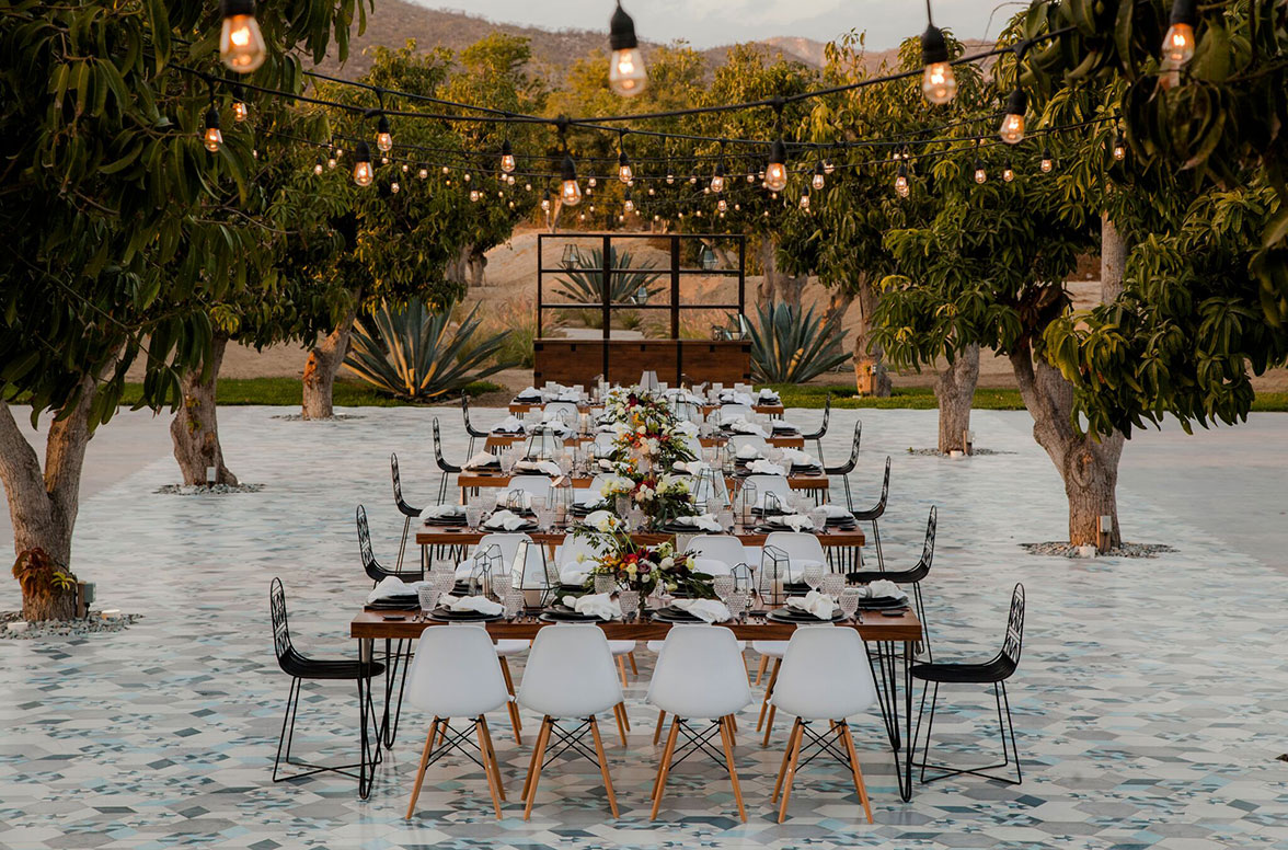 The Polished concrete and hand painted tiles set amongst our mango trees, with string lighting above set an amazing scene for any event!