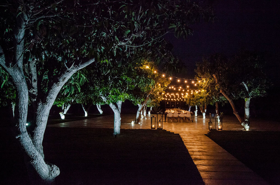 Private event in the orchard.