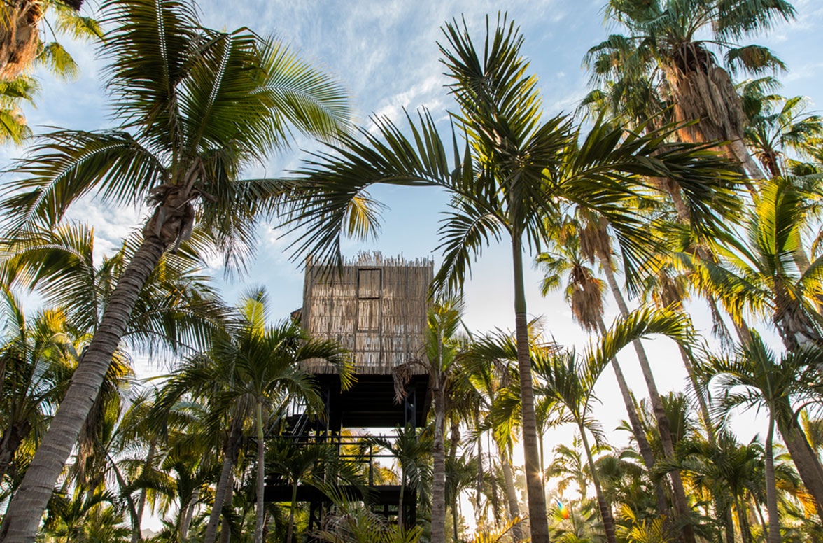 We are proud to welcome you to our chic desert oasis; with expertly manicured landscaping, hand painted tiled orchard event space, sublime infinity pool...we have something for everyone!