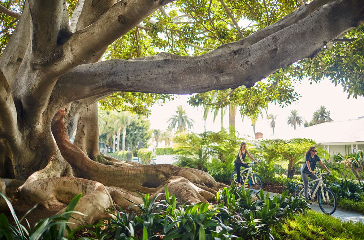 Enjoy a bike ride with the most exquisite landscape.