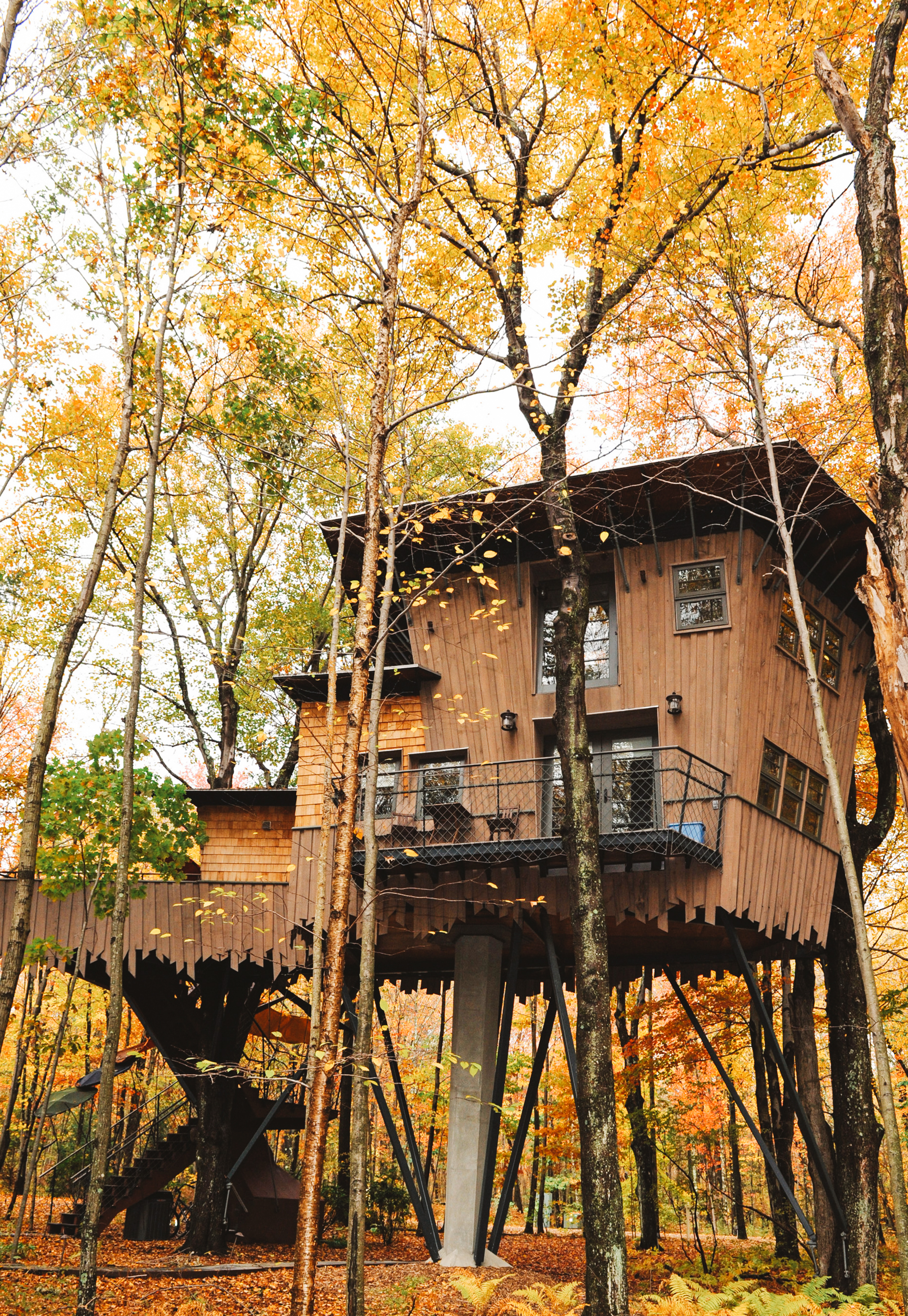 Treehouse