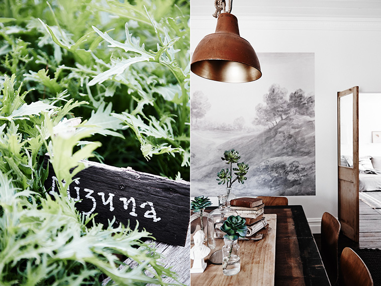 Lynda Gardener's The Estate by Trentham