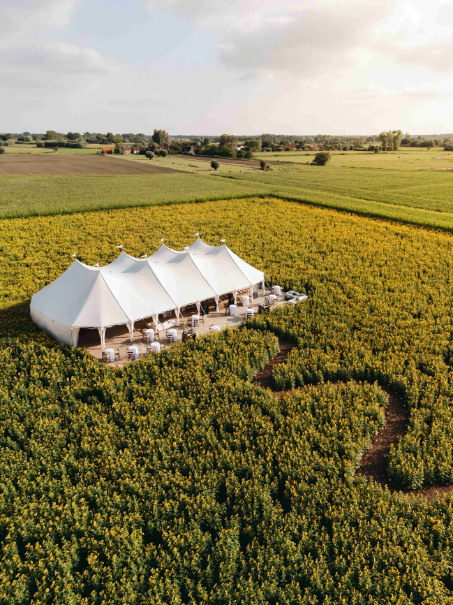 Inside the Wedding That Started in a Corn Maze and Ended in a Candlelit Sunflower Field