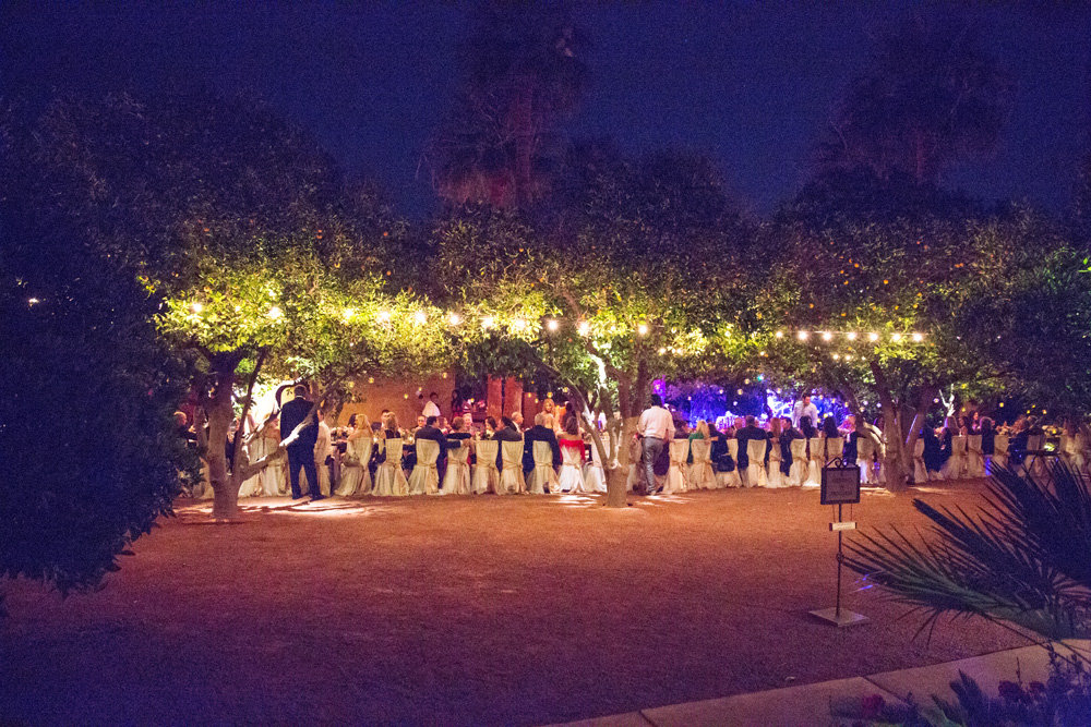 An evening in the Orange Grove