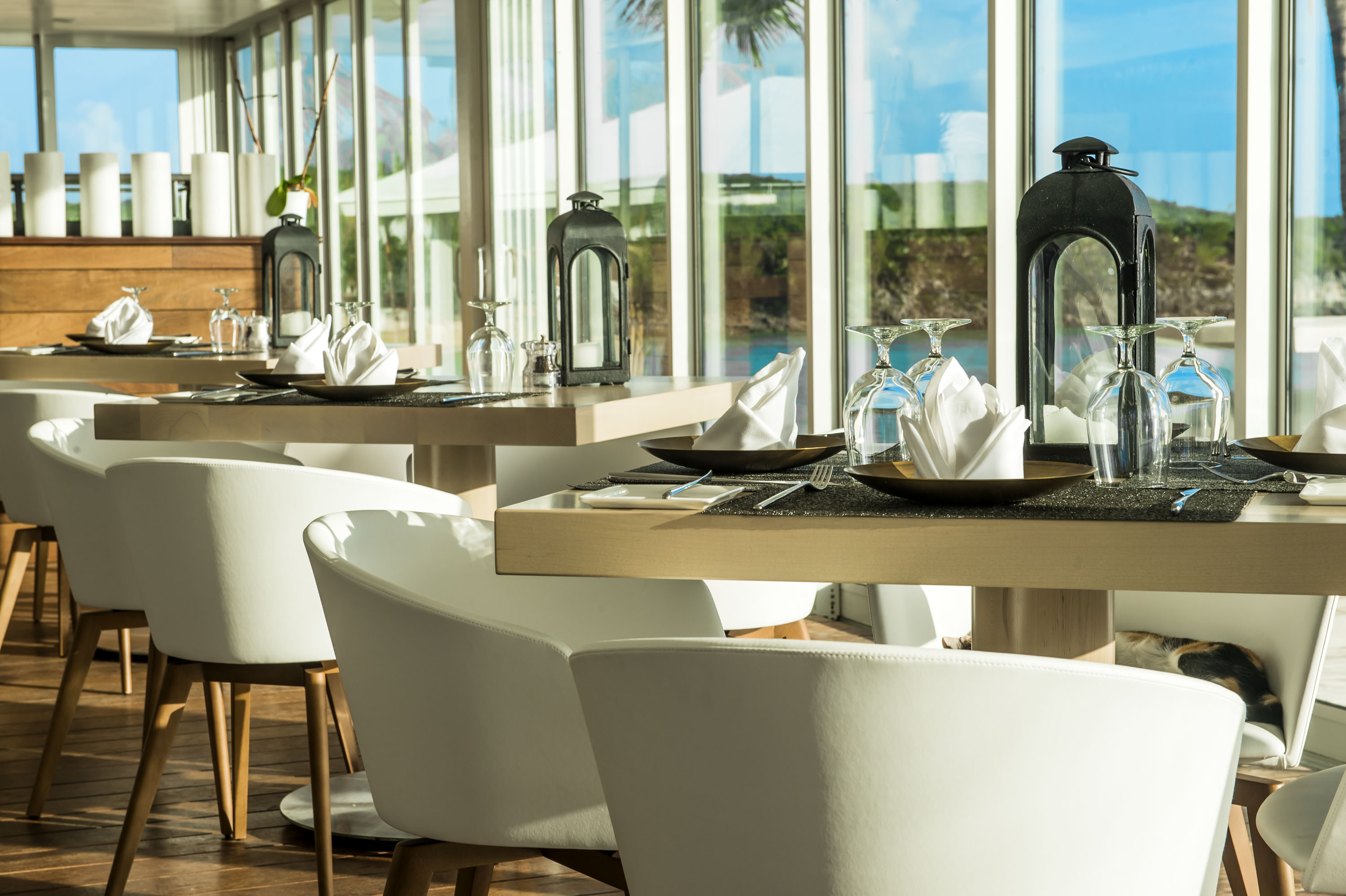 Freedom Restaurant features stylish, contemporary furnishings.